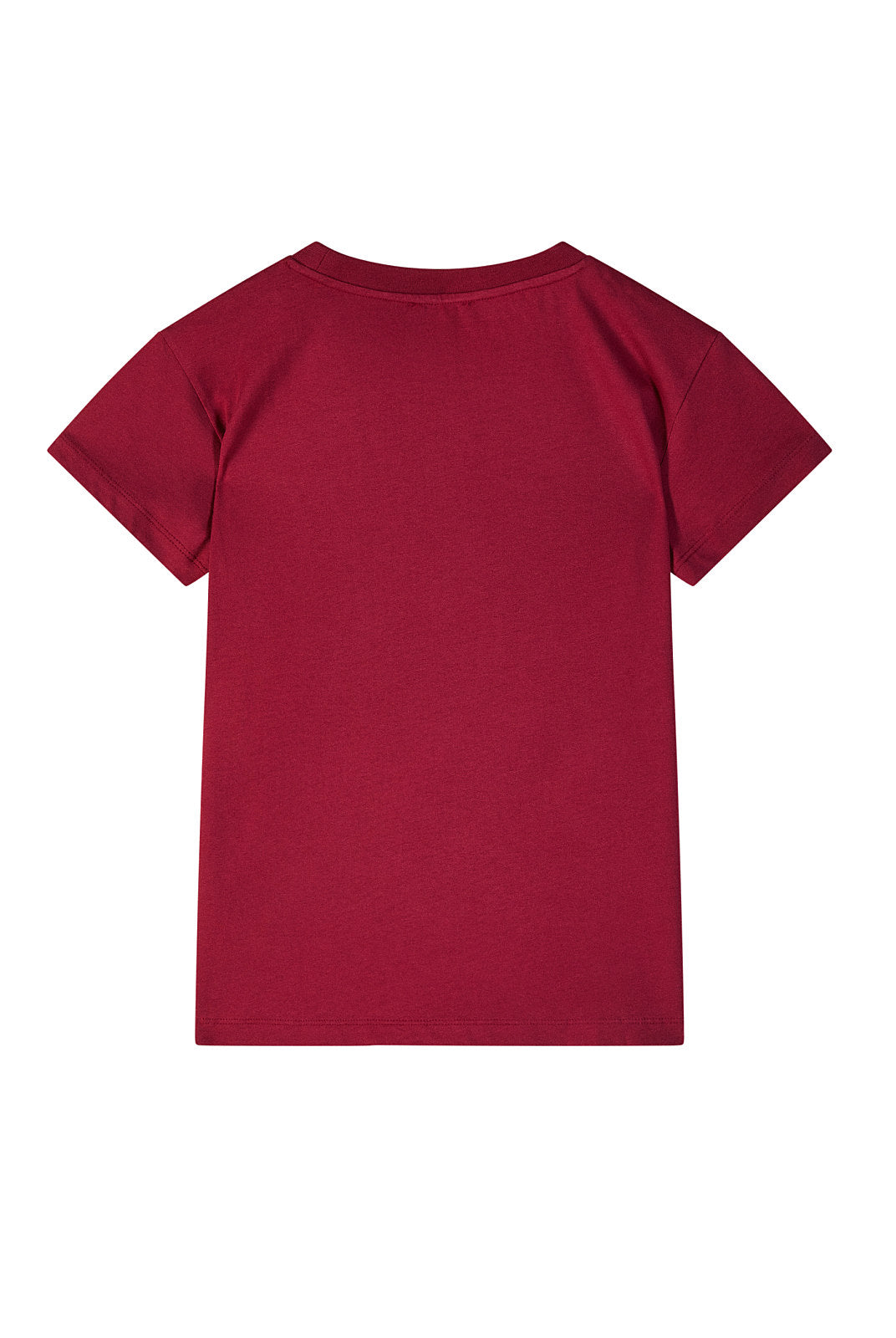 CAMISETA BASICA PP
